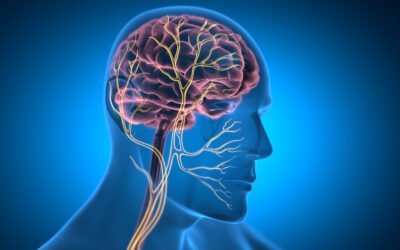 Why Does Deep Breathing Help Anxiety? The Science Explained