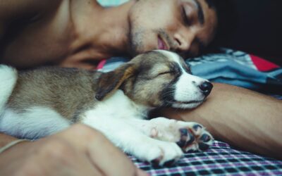 Bedtime Breathing Exercises for Better Sleep