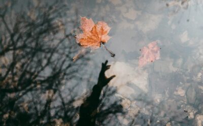 Bad Thinking, Illusions and Leaves on a Stream